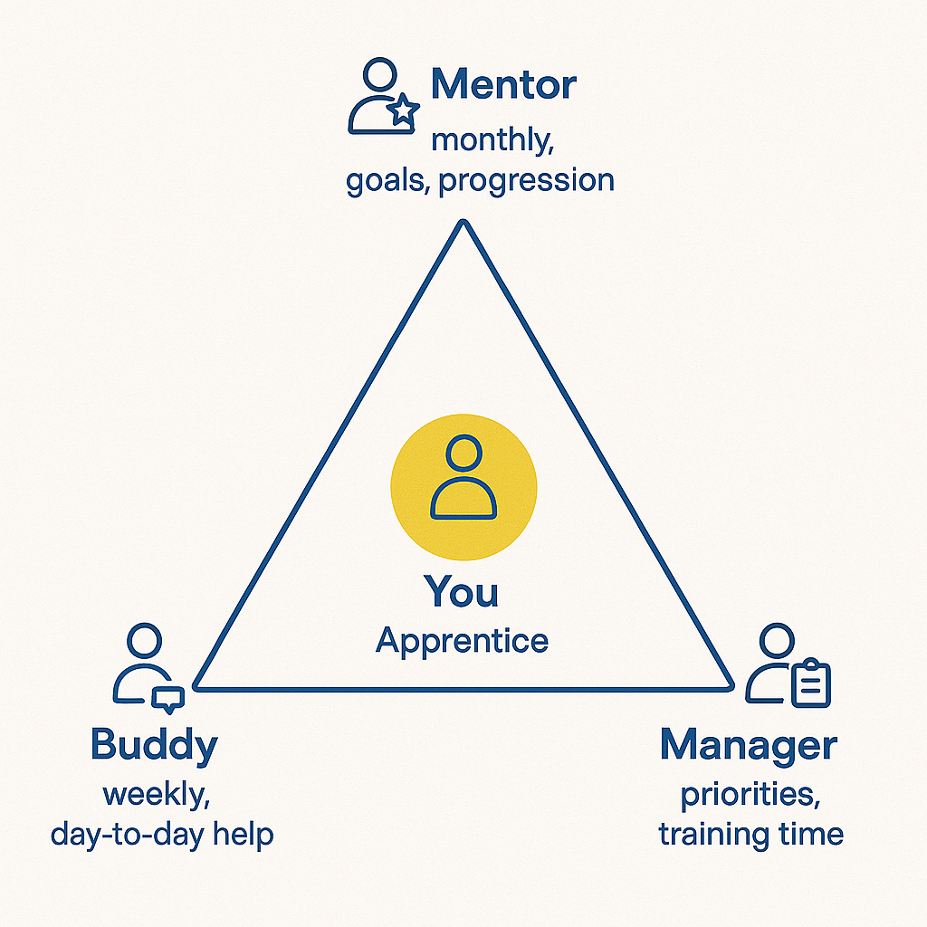 Triangle diagram showing an apprentice at the centre supported by a mentor, buddy and manager with different roles.